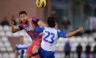 prepelita steaua amical