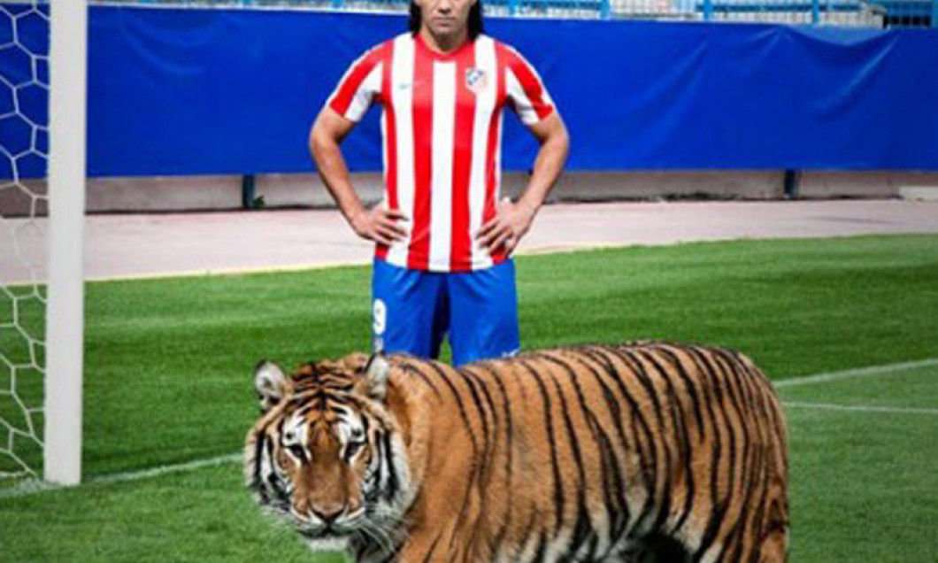 falcao tiger