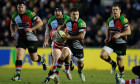 harlequins facebook aviva premiership