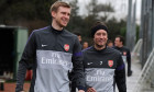 Mertesacker Rosicky