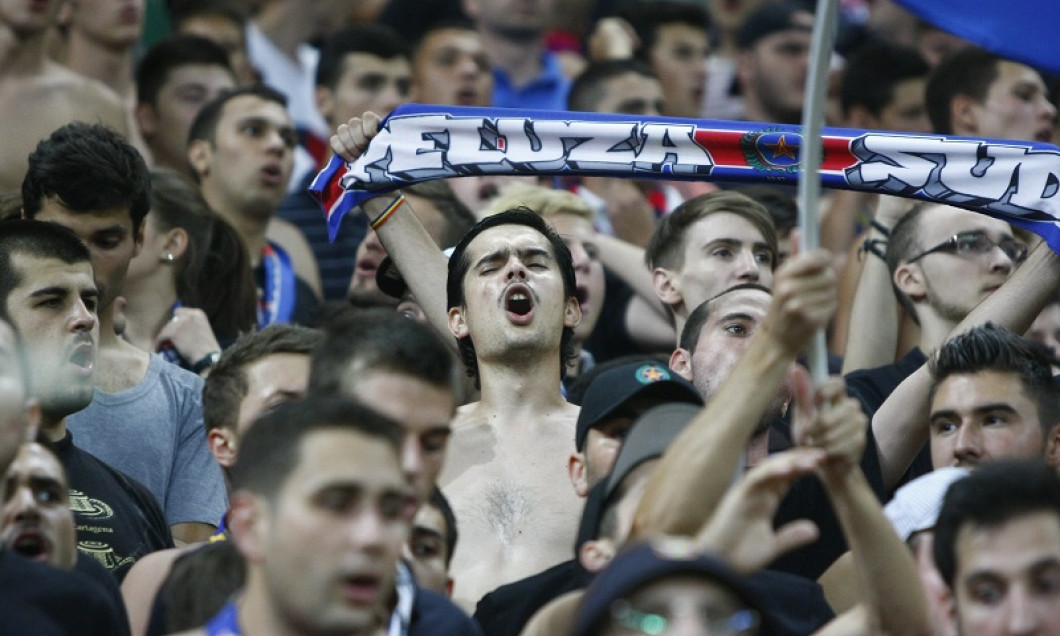 Steaua fani