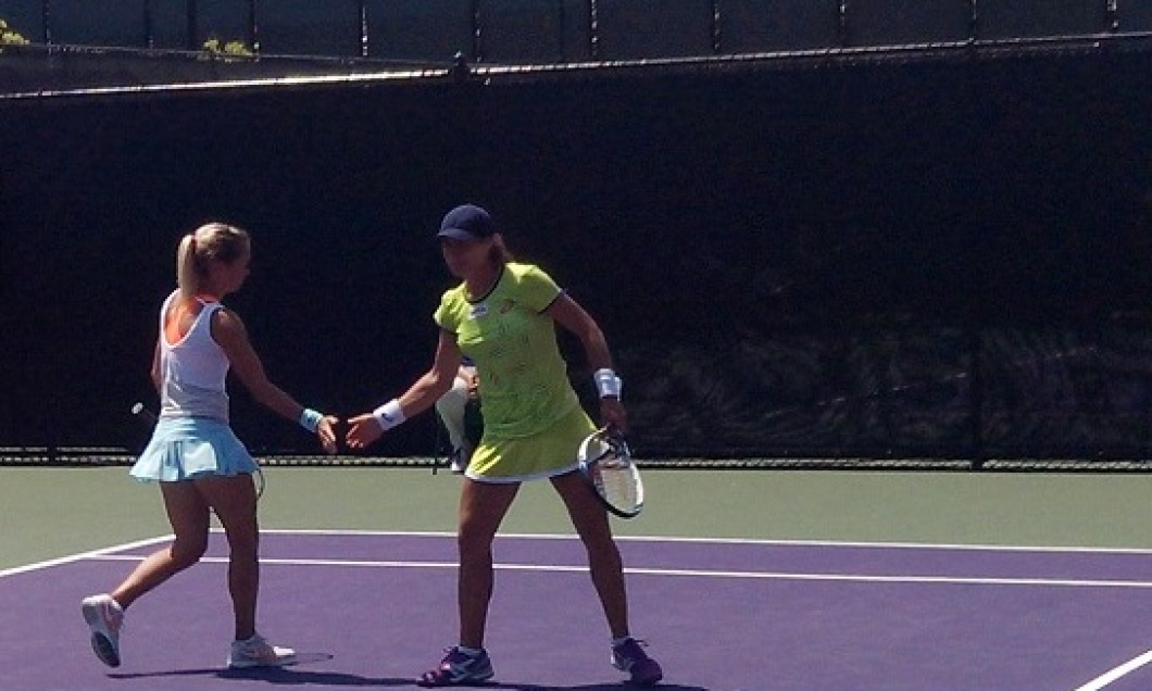niculescu