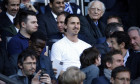 Ibrahimovic tribuna