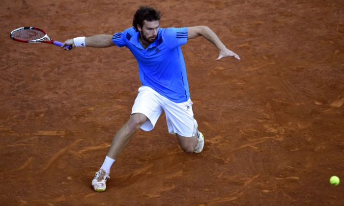 gulbis