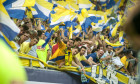 fani petrolul