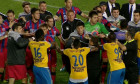 meleu steaua