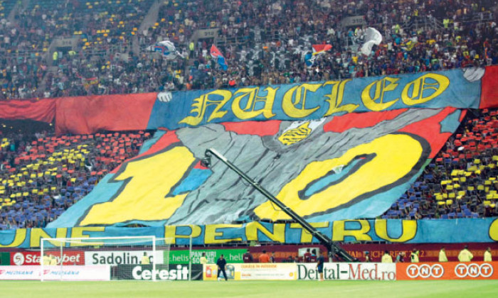 steaua fani