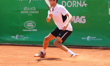 hanescu