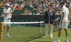 hanescu captura wimbledon