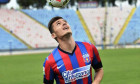 lemnaru steaua-2