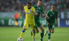 moti sanmartean steaua ludogorets