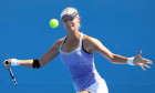 lucic baroni