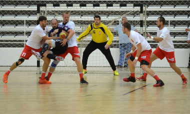 handbal.dinamo