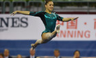 larisa iordache