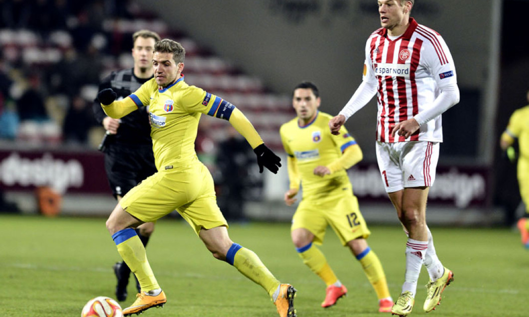chipciu steaua pret