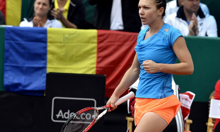 simona halep 2014