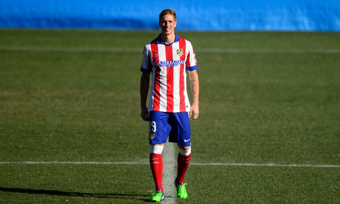 fernando torres