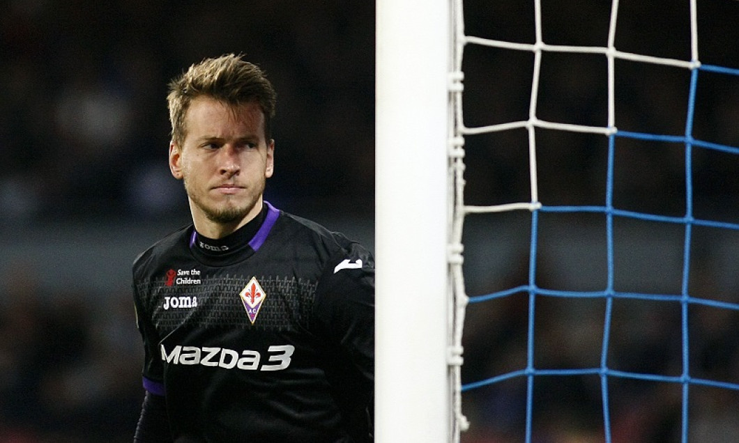neto-1