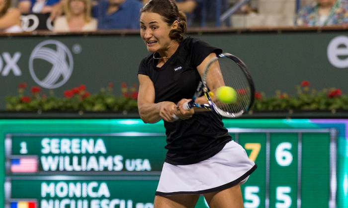 monica niculescu