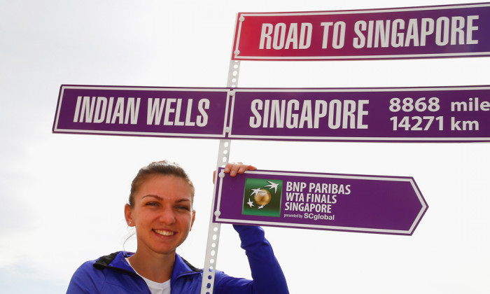 halep singapore