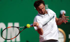 gulbis