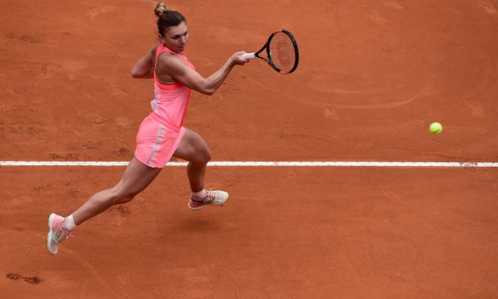 halep navarro