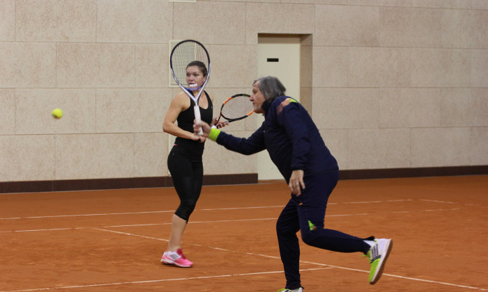 halep ilie nastase