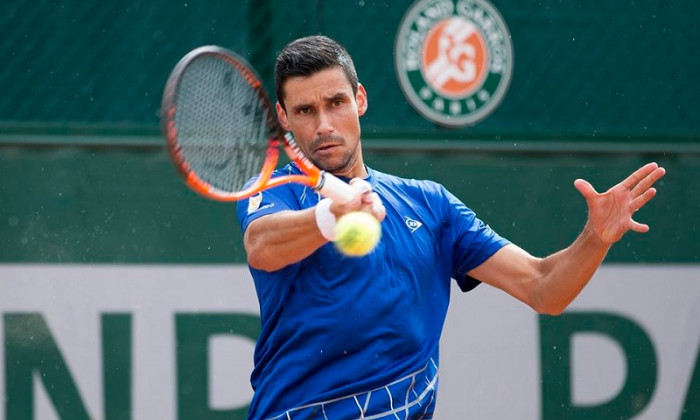 victor hanescu