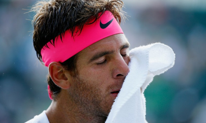 del potro