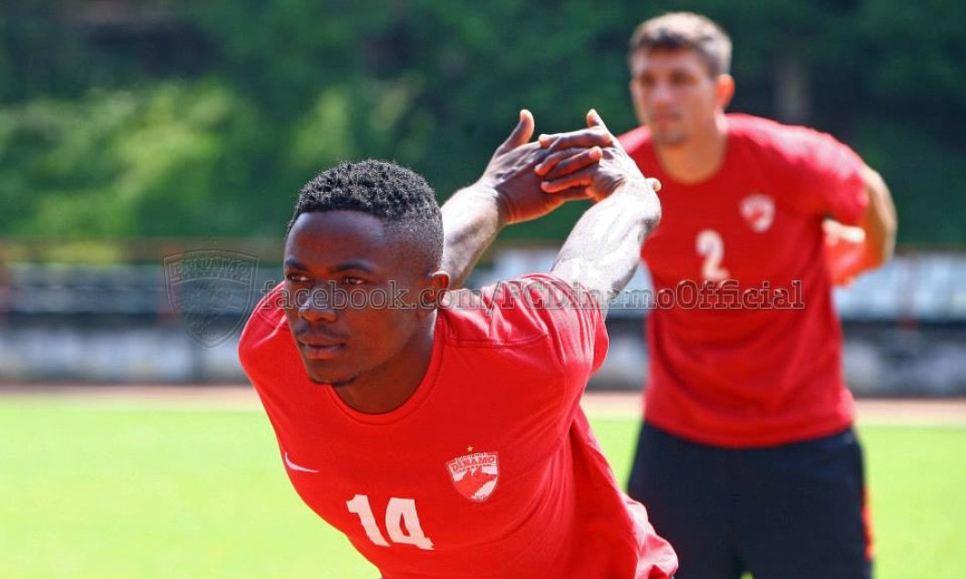 fai dinamo