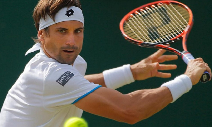 david ferrer