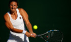 irina begu-1