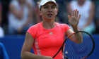 simona halep-8