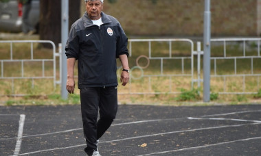 mircea lucescu