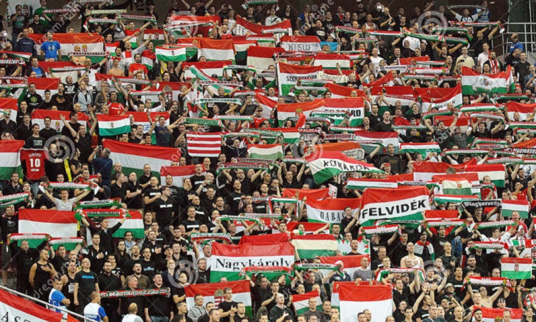 fani ungaria