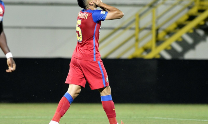 steaua