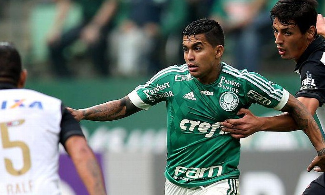 palmeiras