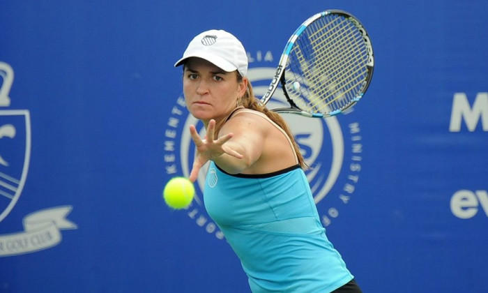 dulgheru-1