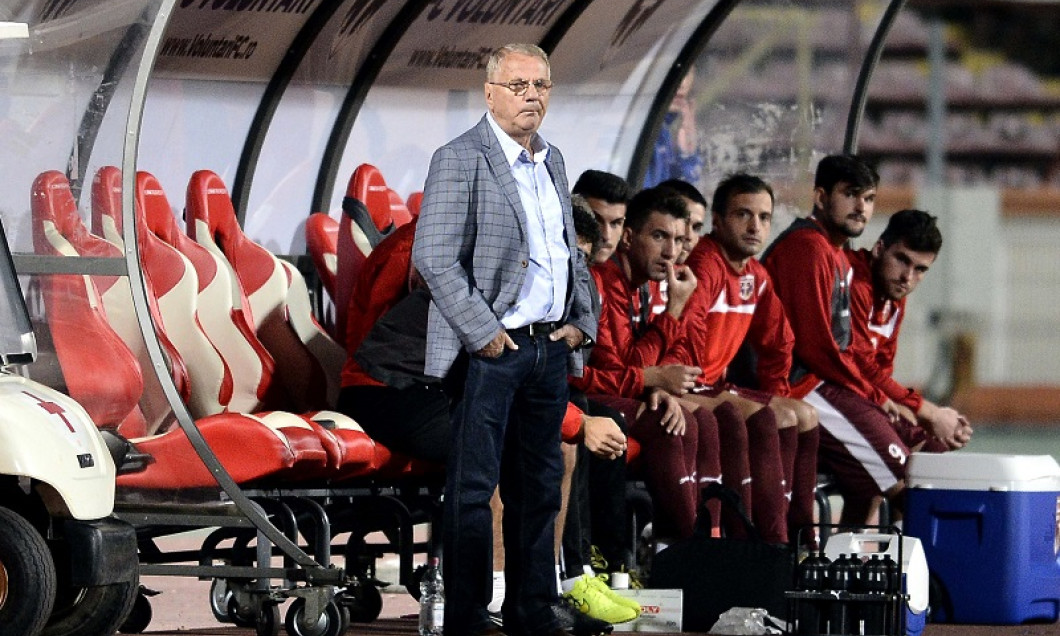 mircea radulescu