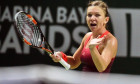 halep radwanska-4