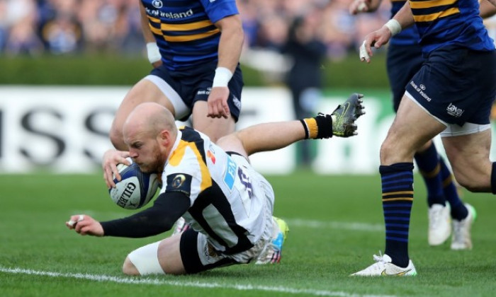 leinster wasps