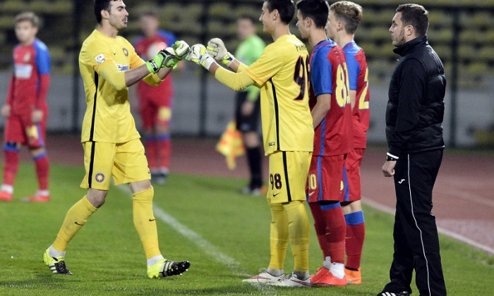 poiana steaua