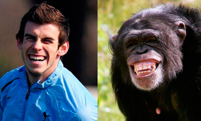 bale