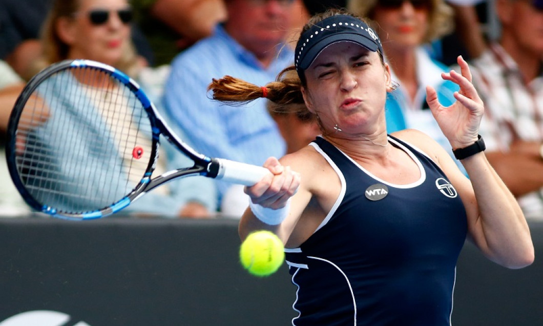 dulgheru auckland