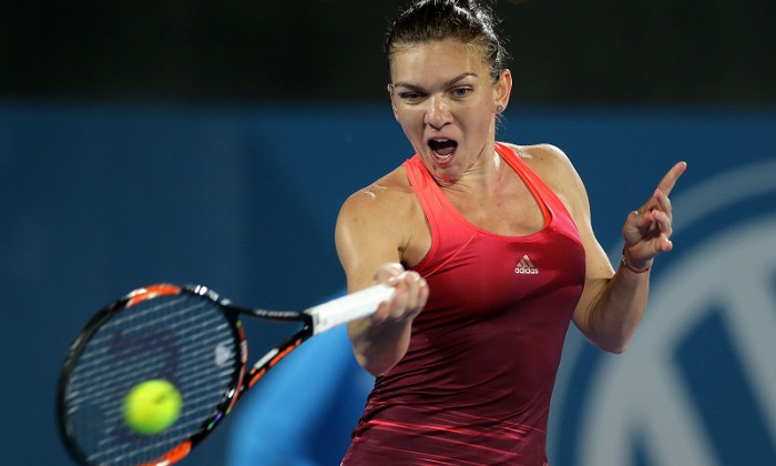 halep sydney-2