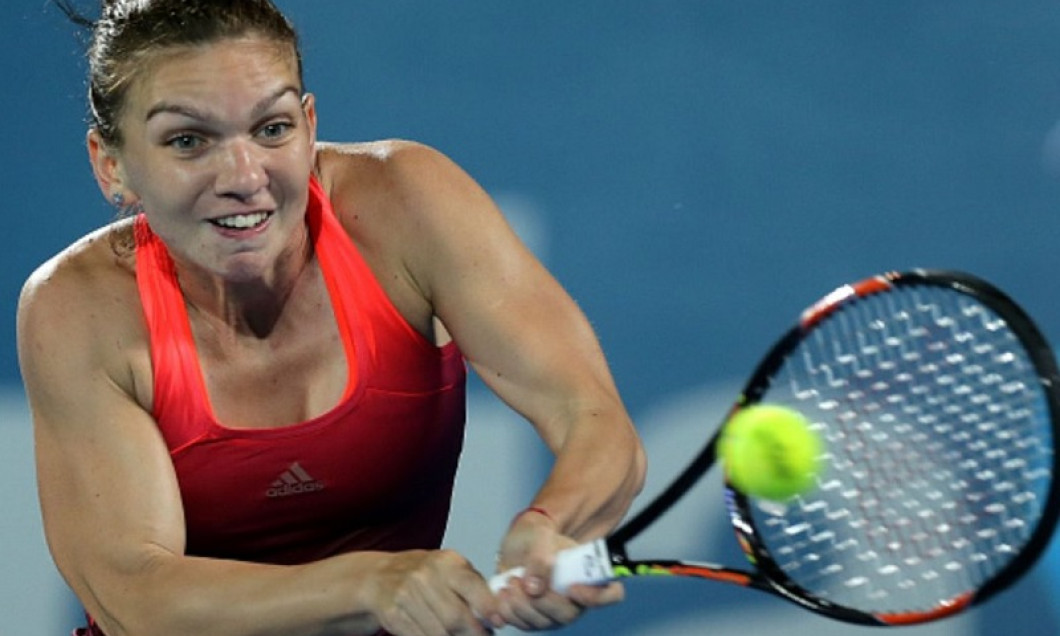 halep nastase