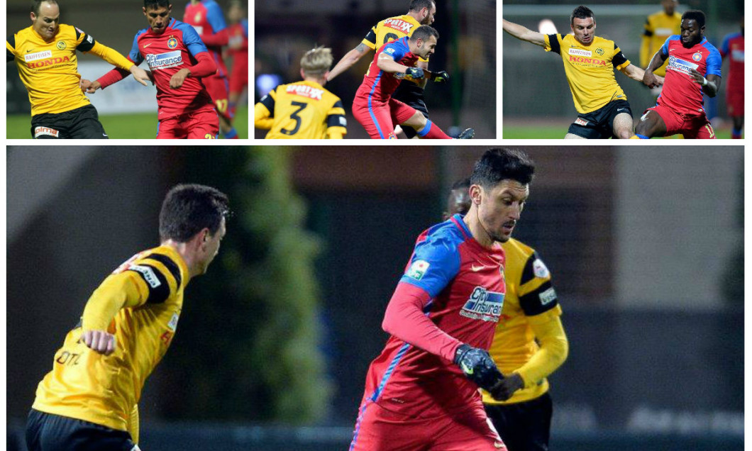 collage steaua