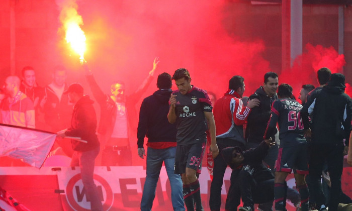 fani benfica