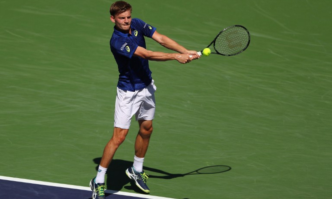 goffin