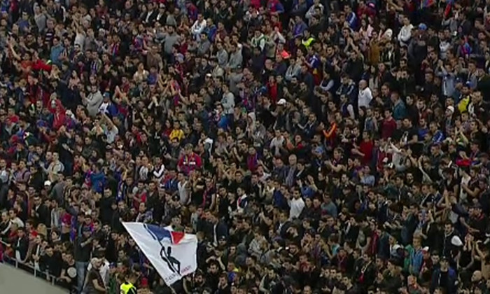 steaua fani